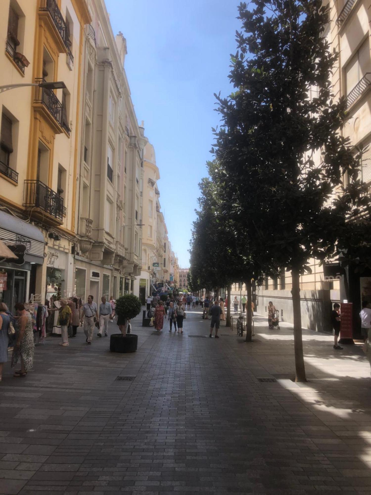 Apartamento En El Centro Totalmente Climatizado, Parking Gratuito Córdoba Kültér fotó